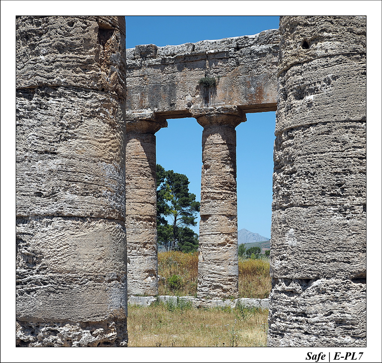 2016 - 05 - Segeste - 13